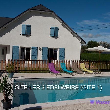 Les 3 Edelweiss - Gite 1 Ou Gite 2 Arette Eksteriør billede