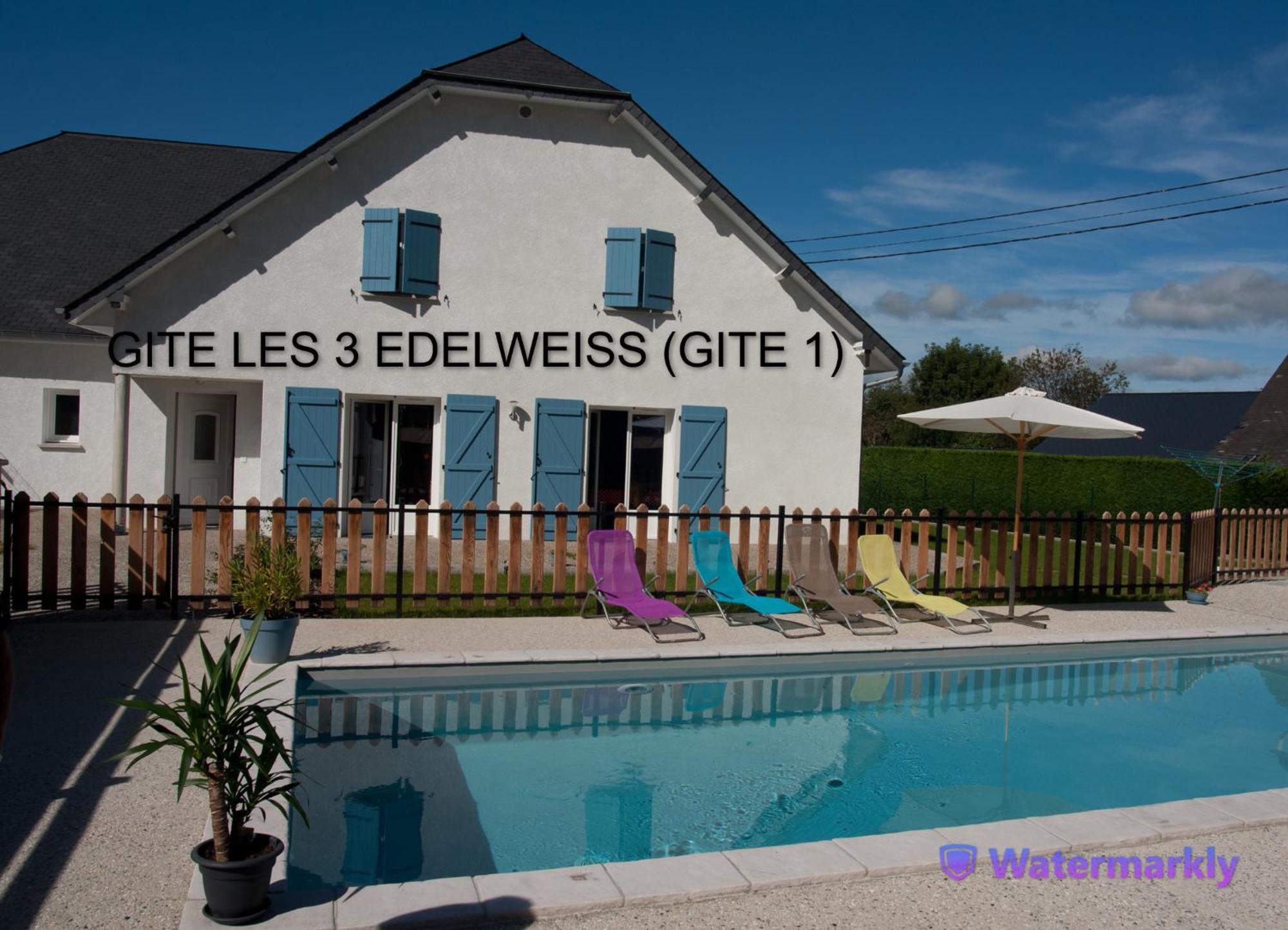 Les 3 Edelweiss - Gite 1 Ou Gite 2 Arette Eksteriør billede