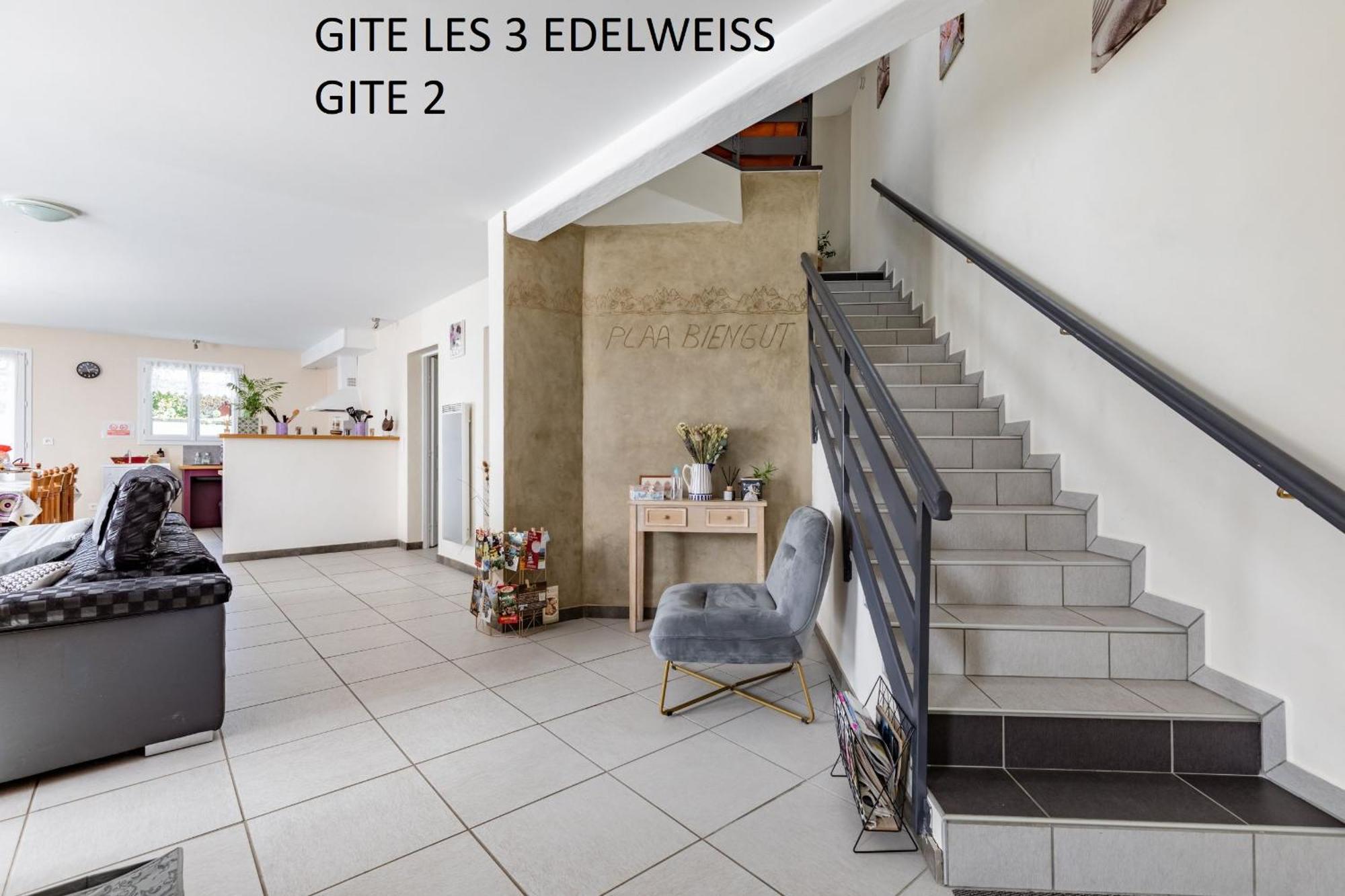 Les 3 Edelweiss - Gite 1 Ou Gite 2 Arette Eksteriør billede
